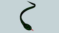 snake