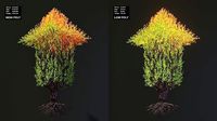 Tree in a shape of an arrow