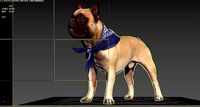 Bulldog oligo 3D model