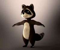 racoon