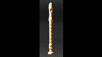 Recorder Flute