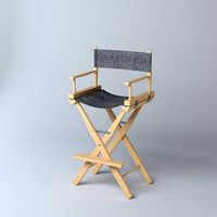 director chair M01