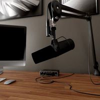 SM7b Microphone