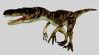 Raptor