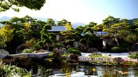 3DTree Bundle 06 - Japanese garden