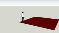 DoD carpet 42800 A01