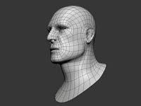 Human Male Head Base Mesh