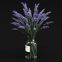 Lavender bouquet