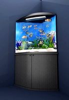 Corner aquarium