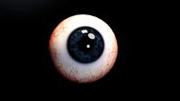 Realistic human eye