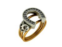 Horseshoe ring