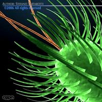 Escherichia coli bacteria3d model