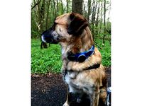 Improved Vodafone Curve Collar Holder by RapidMonster