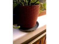 Flower Pot Tray by Dogaceroglu06