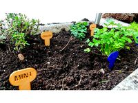 Herbs name tags by mrjoda