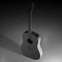 Acoustic Guitar