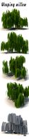 Weeping willow