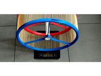 Giant hamster wheel by dinus
