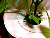 Ponix Systems Herbert accessories/parts by eurad