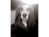 skull head thumb screw by cookie411a