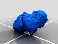 Seashell - Sea by Fabula3D