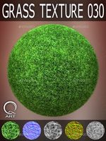 Grass Textures 030