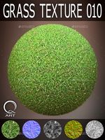 Grass Textures 010
