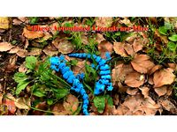 Make Articulated Lizard Alive by zhwang168