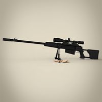 R4P3 Sniper Gun
