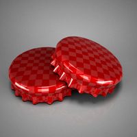 Bottle Tin Cap