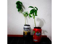 330ml can self watering plant pot by Altirix