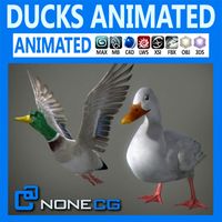 Animated Ducks