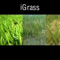 iGrass