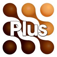 mocha Plus 4 (Single User)
