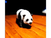 Panda in stride. by hoster12