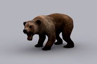 BEAR fbx only