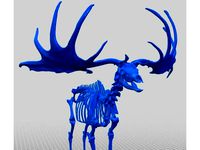Giant Deer (Skeleton) by Natural History Museum of Vienna by Enzi1984