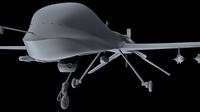 Predator Type Drones3d model