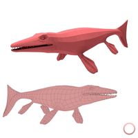 Mosasaurus Base Mesh