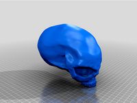 Alien Skull  by Avseq01