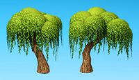 Hand painted Willow tree