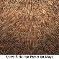 Shave Animal Fur3