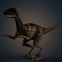 veloster raptor dinosaur