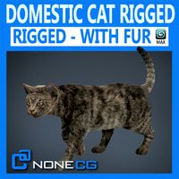 Domestic Cat Riged w/ Fur