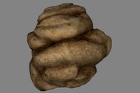 Rock_Soft_Large