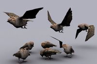 SPARROW with Native File