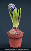 Plant 13d model