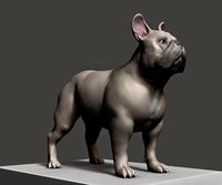 Dog3d model