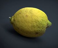 LEMON3d model