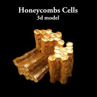 Honey Comb`s Cell3d model
